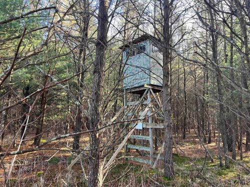 1035 Beaver Ave, NEKOOSA, WI, 54457-9257 | Card Image