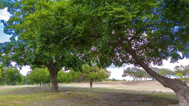 TRACT 5 46 Fm 1621, Home with 0 bedrooms, 0 bathrooms and null parking in Comfort TX | Image 18