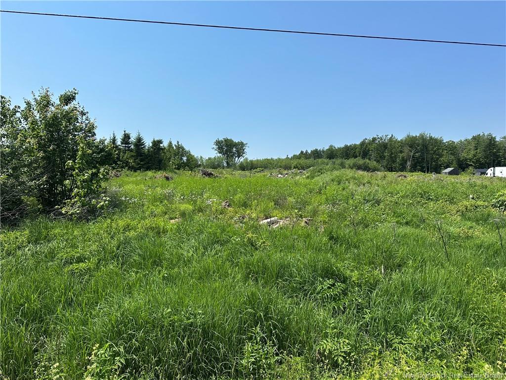 Land in Hamtown Corner 4