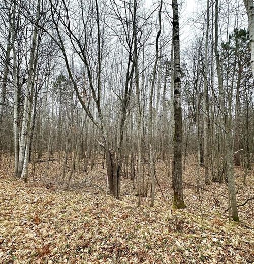 Lot 1, 1.65+/- Acres 295th Avenue, LAKE HOLCOMBE, WI, 54745 | Card Image