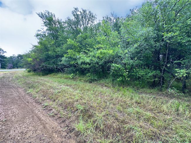 Lot 6 & TBD BTSLP# Emerald Lane, Home with 0 bedrooms, 0 bathrooms and null parking in Corsicana TX | Image 10