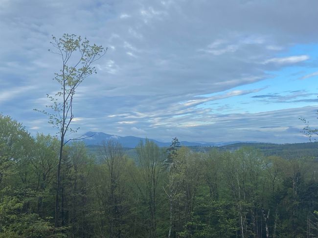 1180 Abbott Hill Rd, Home with 0 bedrooms, 0 bathrooms and null parking in West Burke VT | Image 19