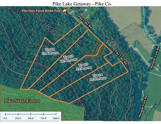 TRACT-2-PIKE-LAKE-GETAWA - 0 Pike Lake Rd, Home with 0 bedrooms, 0 bathrooms and null parking in Bainbridge OH | Image 52