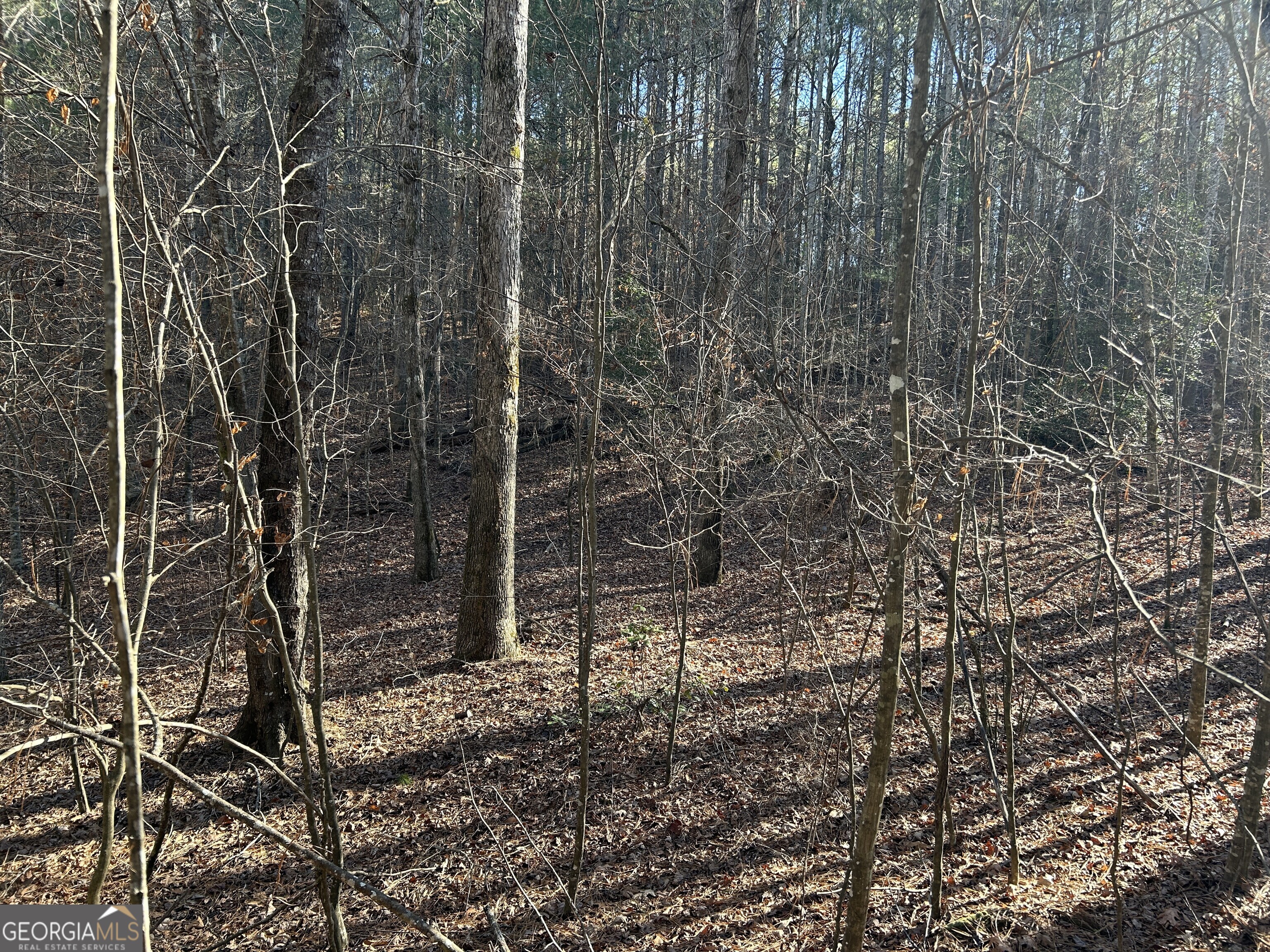 Land in Demorest 5