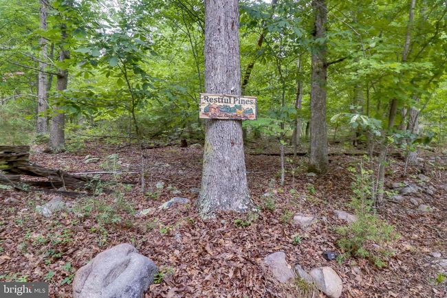882 Lazy River West Rd, House other with 2 bedrooms, 2 bathrooms and null parking in LURAY VA | Image 28
