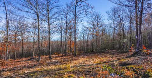 10 Mine Road, Stoneham, ME, 04231 | Card Image