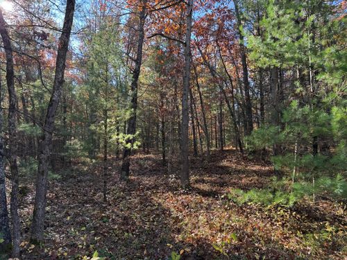 Parcel 5 County Line Road, Free Soil, MI, 49411 | Card Image
