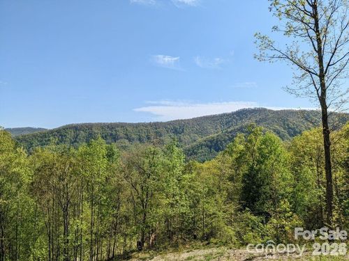 t-67-351 Kestrel Ln, Black Mountain, NC, 28711 | Card Image