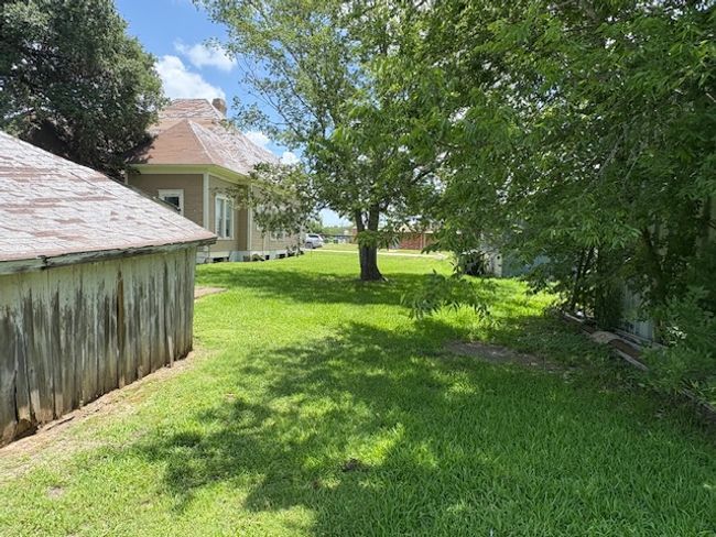View of green lawn | Image 11