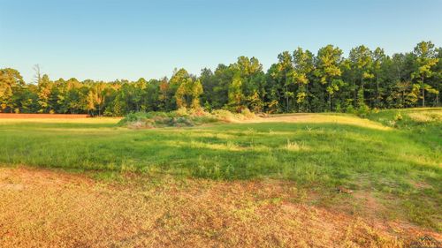 lot-24-majestic-oaks-115 Majestic Oaks, De Berry, TX, 75639 | Card Image