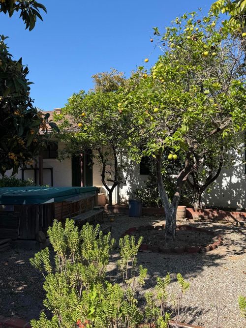 b-316 Oceano Avenue, Santa Barbara, CA, 93109 | Card Image