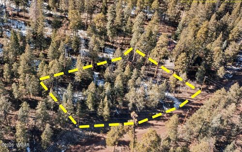9 County Road 2073, Alpine, AZ, 85920 | Card Image