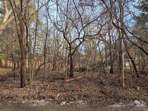 2375 Greenlawn Ave, Bloomfield Hills, MI, 48302-0217 | Card Image