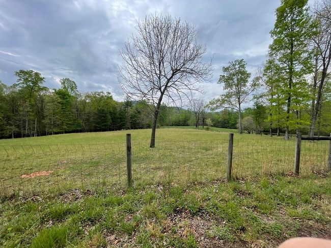 02 - 6.02 ac Ace Way, Home with 0 bedrooms, 0 bathrooms and null parking in Blairsville GA | Image 8