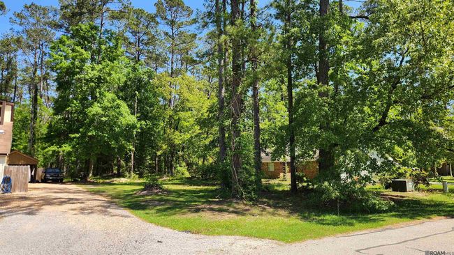 31531 River Pines Dr, Home with 0 bedrooms, 0 bathrooms and null parking in Springfield LA | Image 13