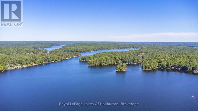 1358 Kushog Lake Rd, House other with 4 bedrooms, 3 bathrooms and 6 parking in Algonquin Highlands ON | Image 44