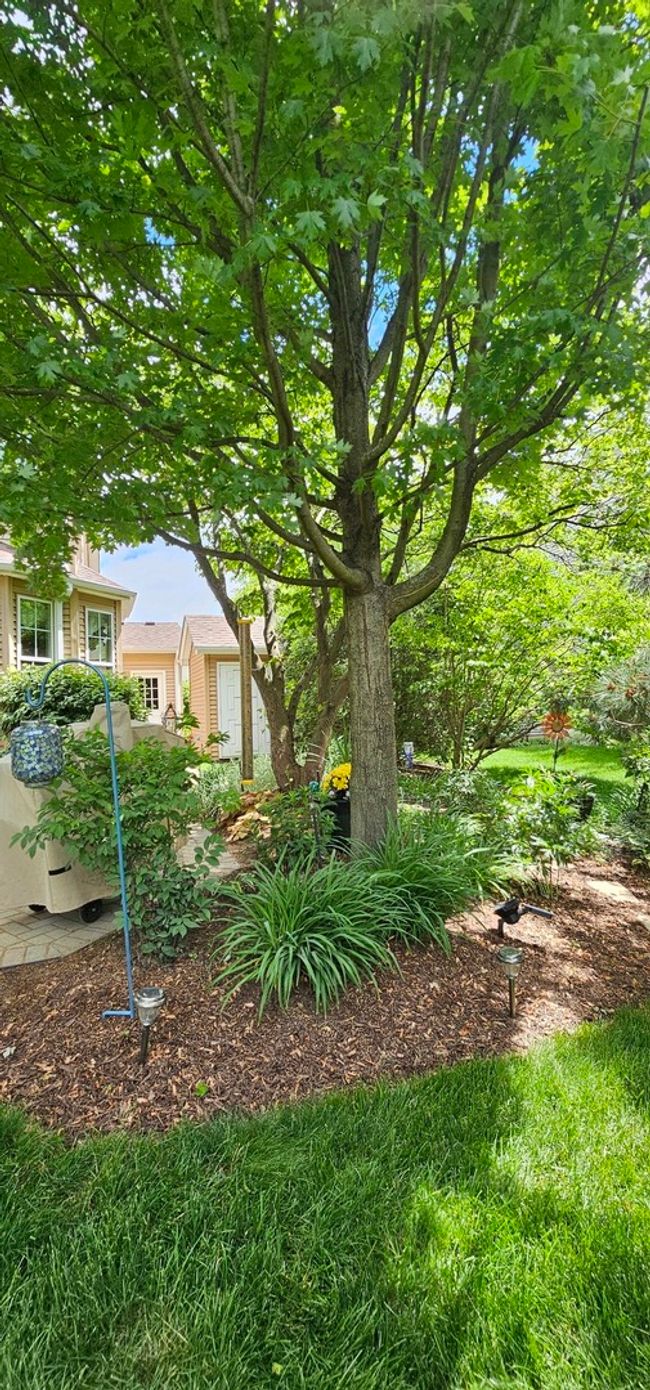12941 Grande Poplar Cir, House other with 4 bedrooms, 3 bathrooms and 6 parking in Plainfield IL | Image 62