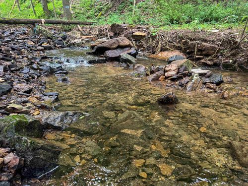 TBD Laurel Dale Rd, NEW CREEK, WV, 26743 | Card Image