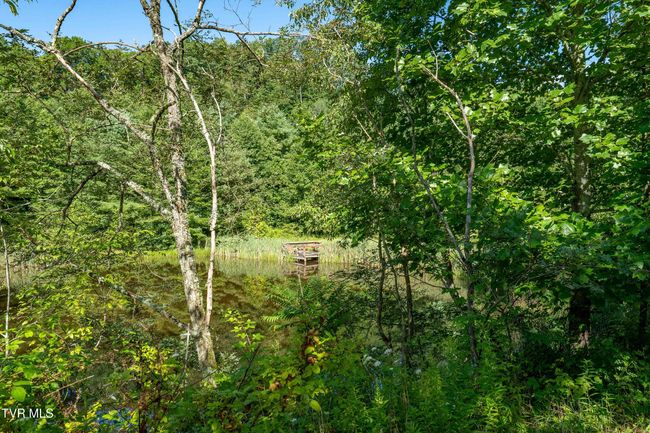 306 Bear Branch Rd, Home with 0 bedrooms, 0 bathrooms and null parking in Roan Mountain TN | Image 25
