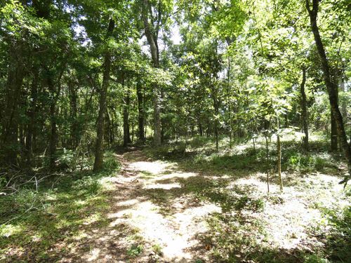 TBD Gamble Rd, Monticello, FL, 32344 | Card Image