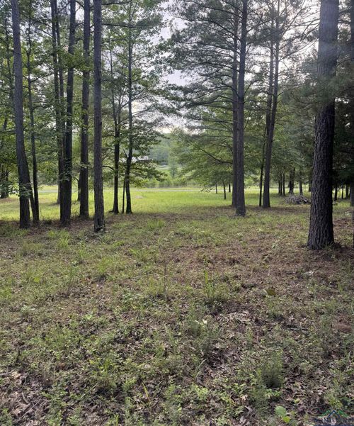 000 Pr 7223, Jefferson, TX, 75657 | Card Image