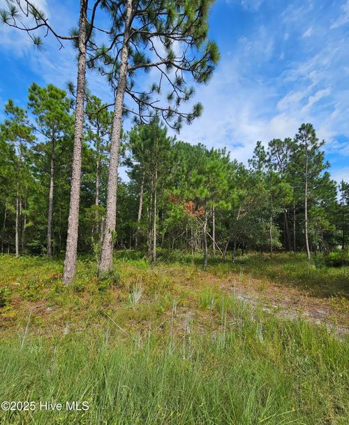 0000 Hines Stump Sound Church Rd, Holly Ridge, NC, 28445 | Card Image
