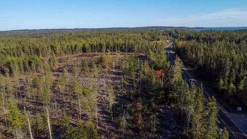 Map 06 Lots #16, 16-2, 16-3 Cutler Road, Cutler, ME, 04626 | Card Image