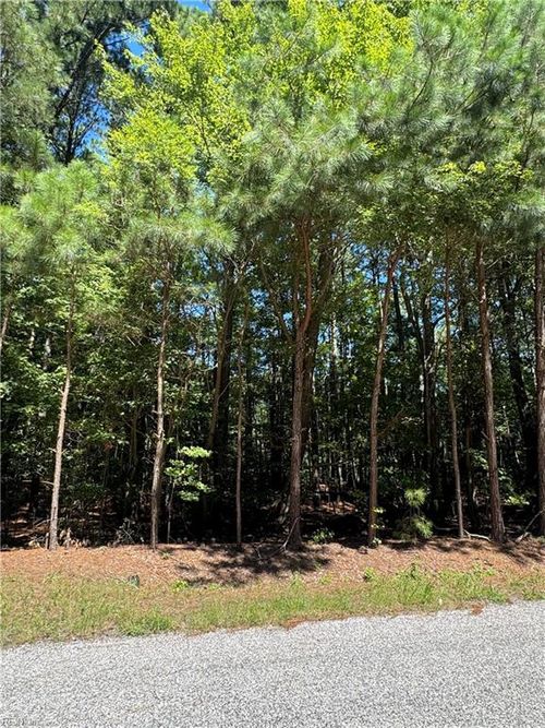 Lot 8 Peaceful Pond Dr, Exmore, VA, 23350-4652 | Card Image