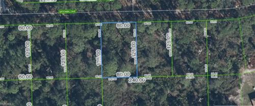 3224 Spoonbill Ave, Lake Placid, FL, 33852 | Card Image