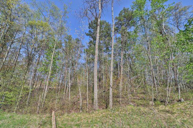 5 Terminal Road, Home with 0 bedrooms, 0 bathrooms and null parking in Breezy Point MN | Image 5