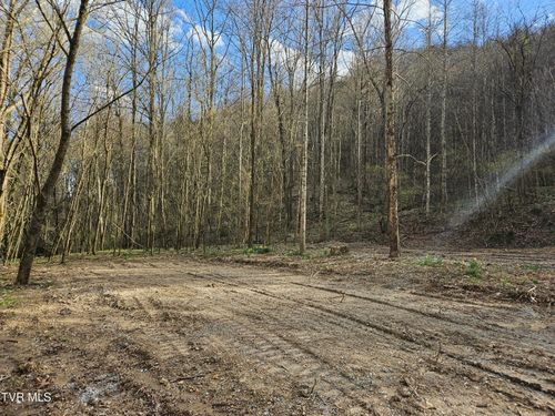 Tbd Right Poor Valley Rd, Dryden, VA, 24243 | Card Image