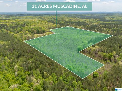 1-0 County Road 49, Muscadine, AL, 36269 | Card Image