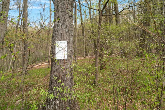 View of landscape with a view of trees | Image 44