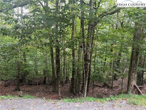 117 Lower Grouse Ridge Rd, Beech Mountain, NC, 28604-8125 | Card Image