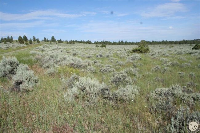 Lot 74 High Pines Blf, Home with 0 bedrooms, 0 bathrooms and null parking in Columbus MT | Image 8