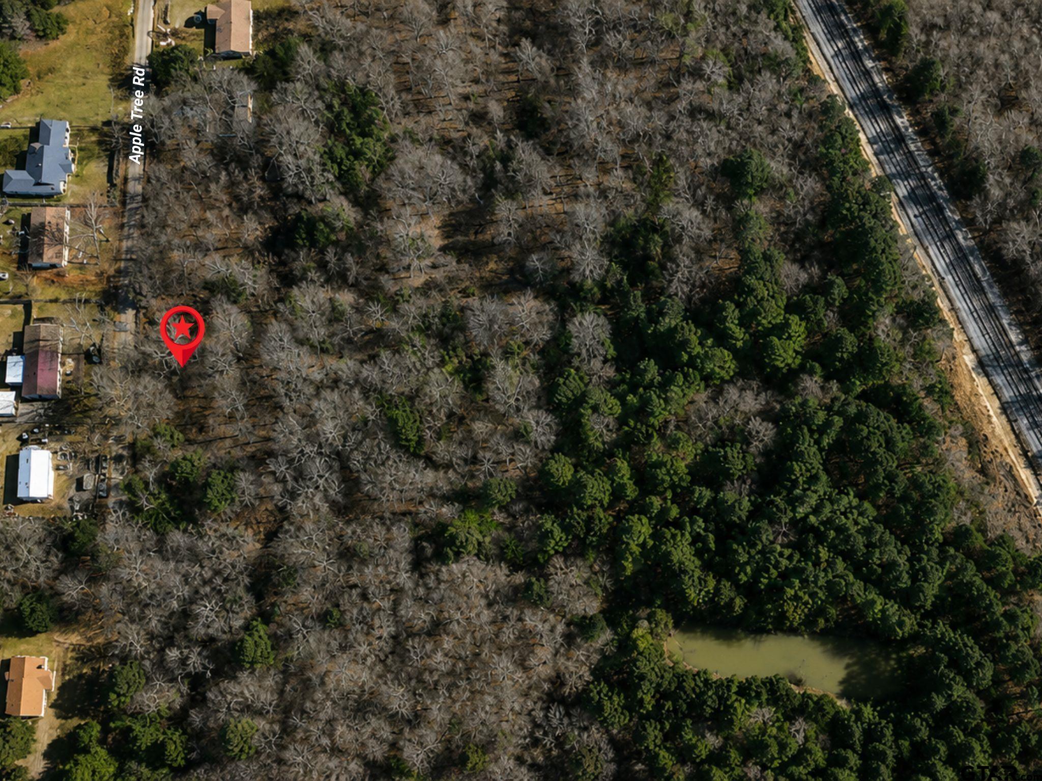 Land in Gilmer 3