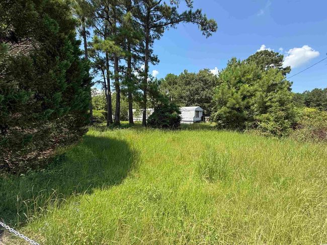 View of yard | Image 9