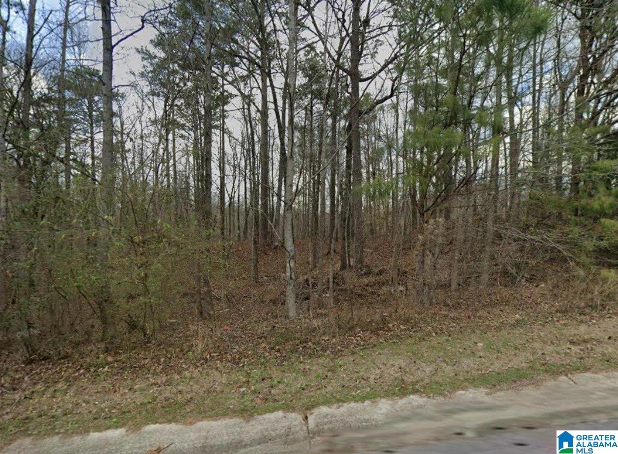 Land in CALERA