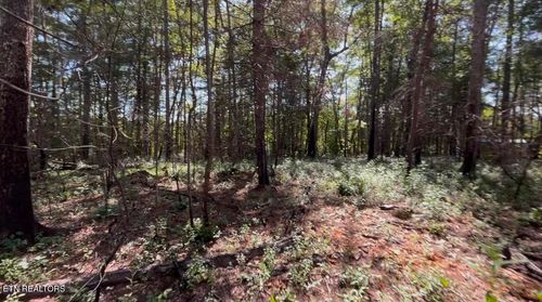 241 Star Lake Way, Deer Lodge, TN, 37726 | Card Image