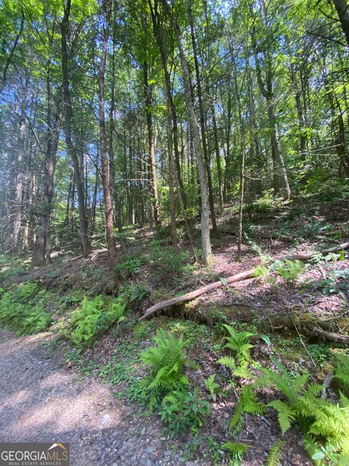 HEMLOCK Hemlock Trl, Blue Ridge, GA, 30513 | Card Image
