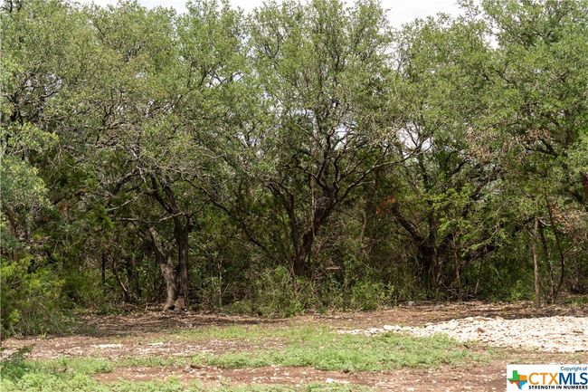 12283 Crows Ranch Rd, Home with 0 bedrooms, 0 bathrooms and null parking in Salado TX | Image 9