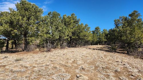 TBD L I Path, Cotopaxi, CO, 81223 | Card Image