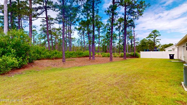 Backyard Area | Image 24