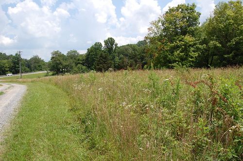 10 Laurel Brook Rd, Dunlap, TN, 37327-6742 | Card Image