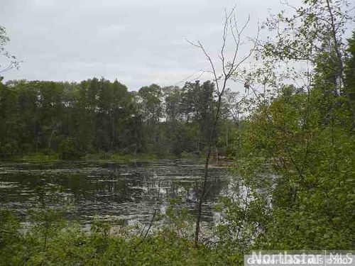 Lot 6 Blk 1 Riverwood Shores, Pillager, MN, 56473 | Card Image