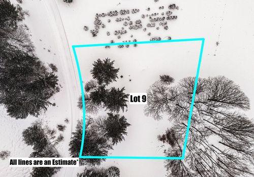 Lot #9 Kadi Lane, Almira Township, MI, 49650 | Card Image