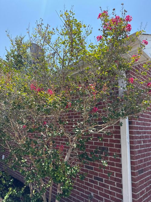 173-1014 Airport Rd, Destin, FL, 32541-2890 | Card Image