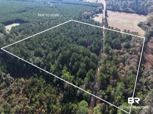 0 Judge Level Rd, Brewton, AL, 36426 | Card Image