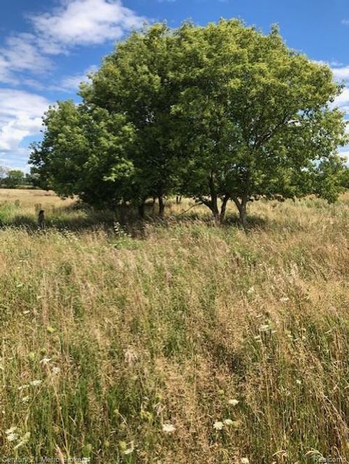 0 Murray Rd, Brown City, MI, 48416 | Card Image