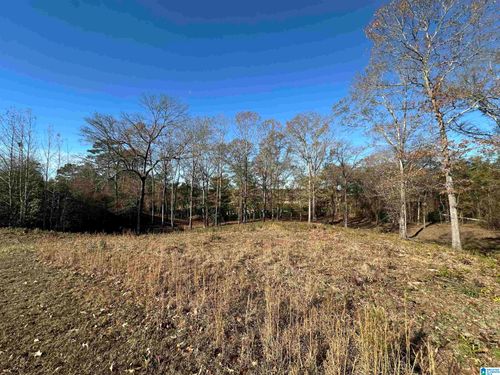 lots-9-and-10-0 Peach Tree Drive, THORSBY, AL, 35171 | Card Image